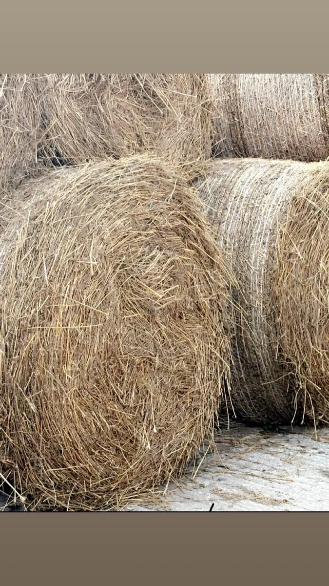 Round Bales of Rushes