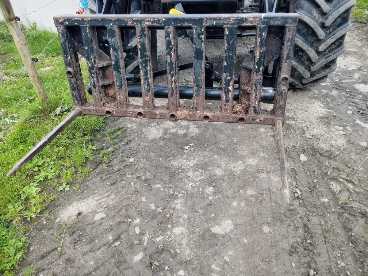 Dung pike - Image 2