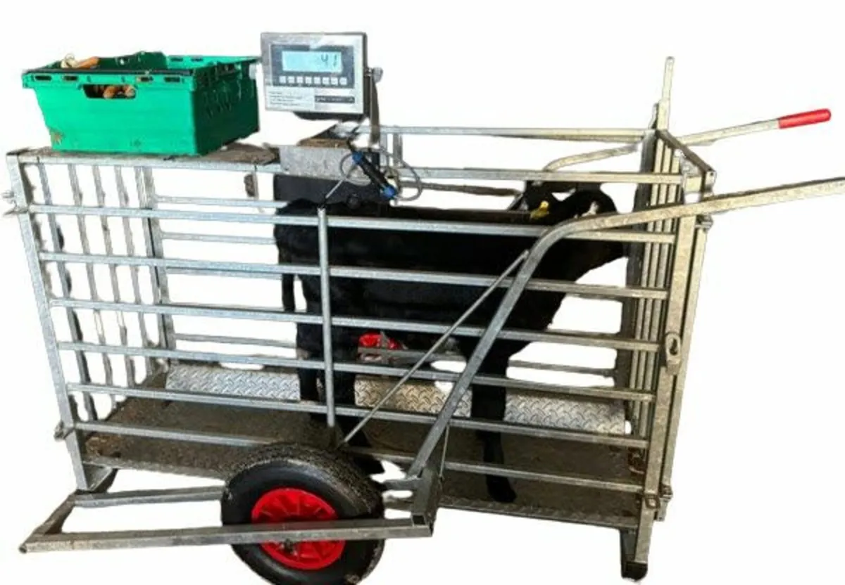 Transporter & scales - Image 2