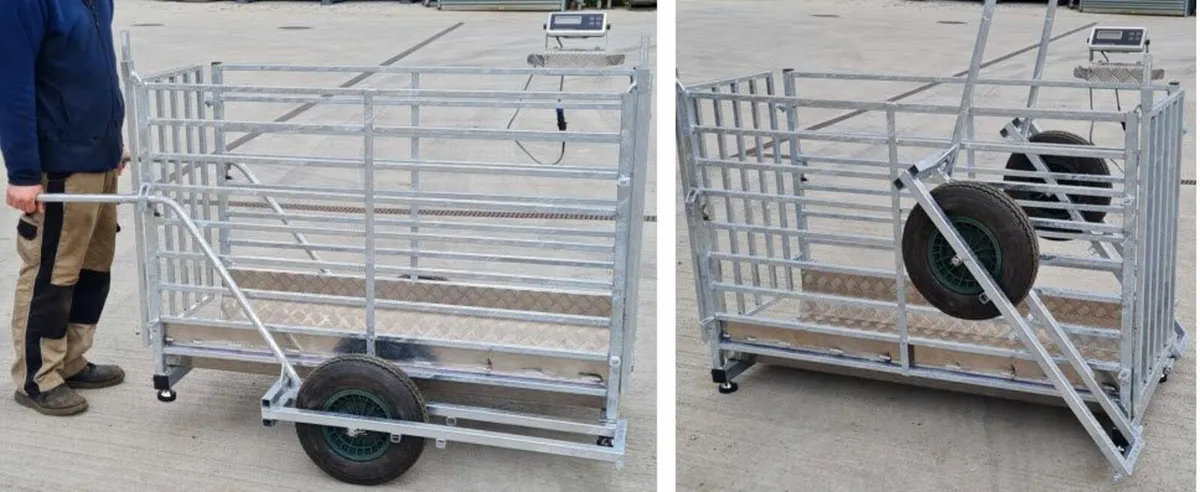 Transporter & scales - Image 1