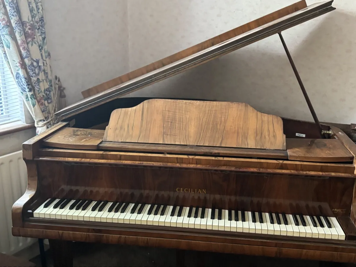 Baby Grand Piano Cecilian - Image 1