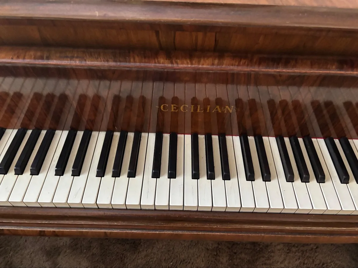 Baby Grand Piano Cecilian - Image 3