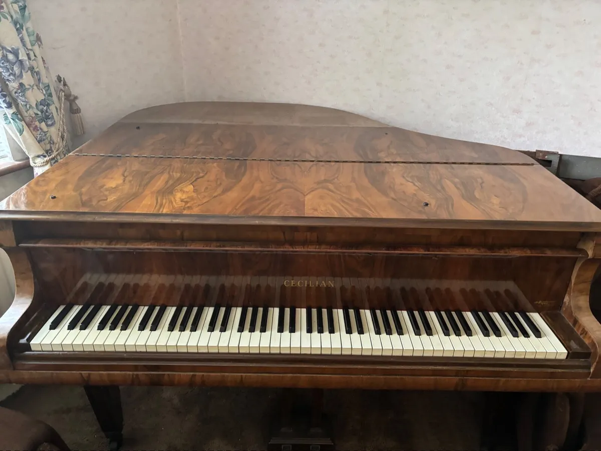 Baby Grand Piano Cecilian - Image 4
