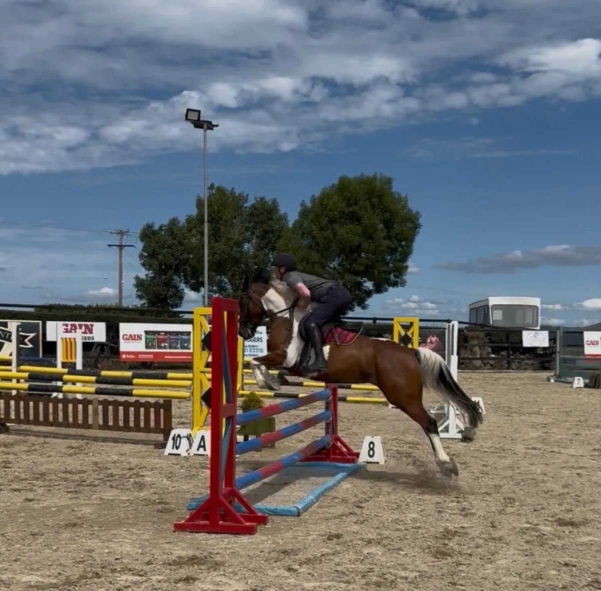 Pony - Image 1