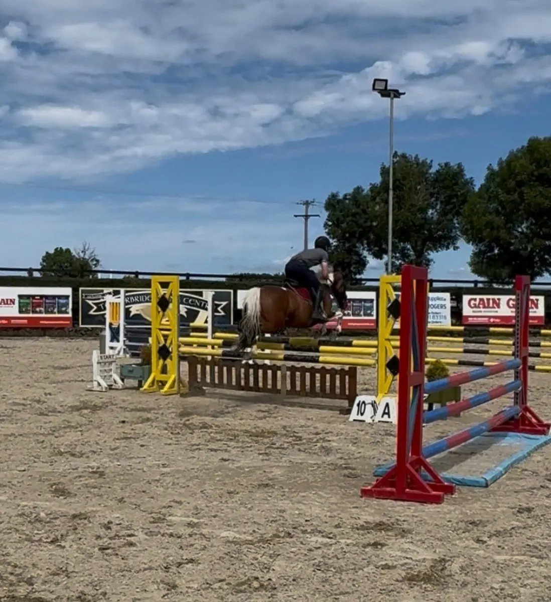 Pony - Image 2