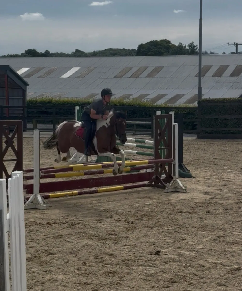 Pony - Image 3