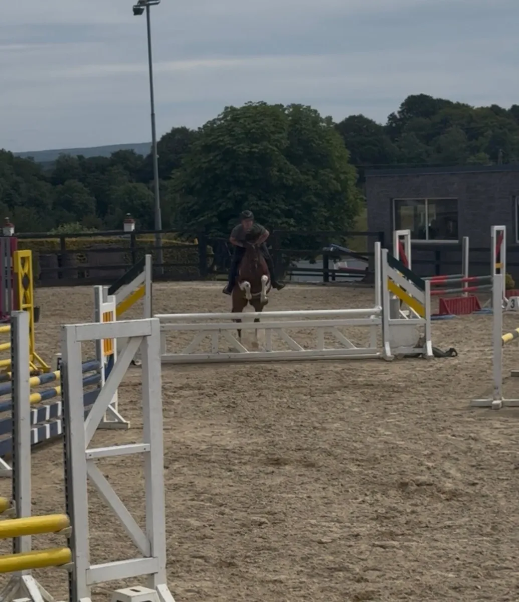 Pony - Image 4