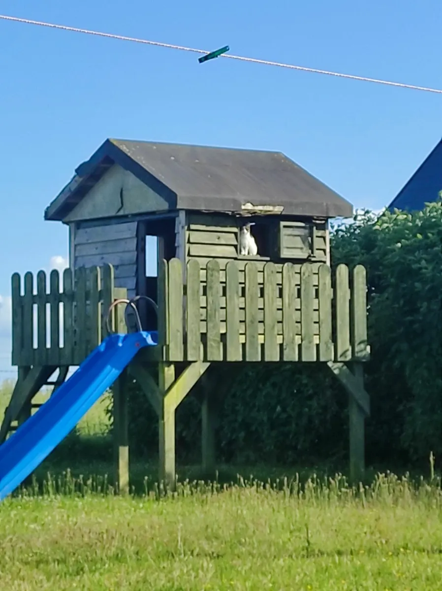 10 ft slide - Image 2