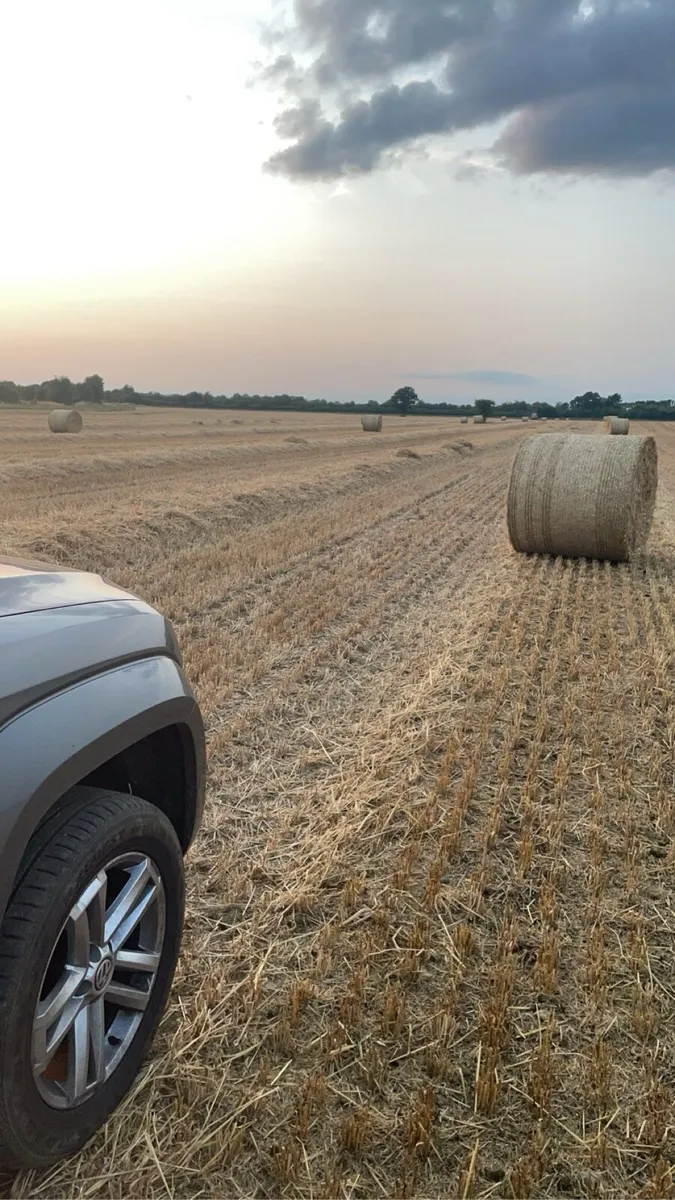 Feeding quality Golden barley straw 4x4 - Image 2
