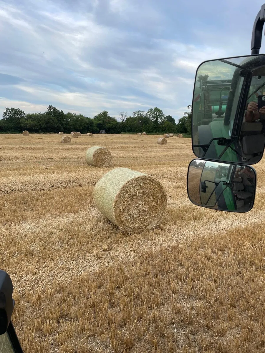 Feeding quality Golden barley straw 4x4 - Image 3