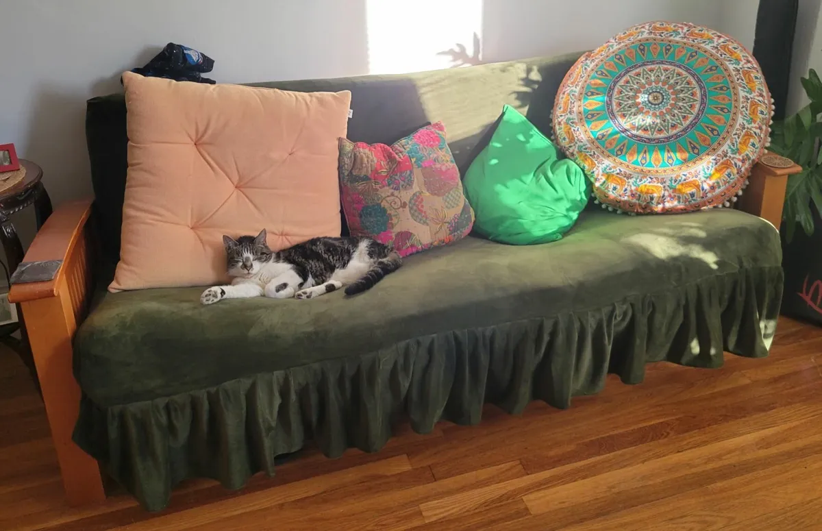 Sofa Futon (FREE) - Image 3