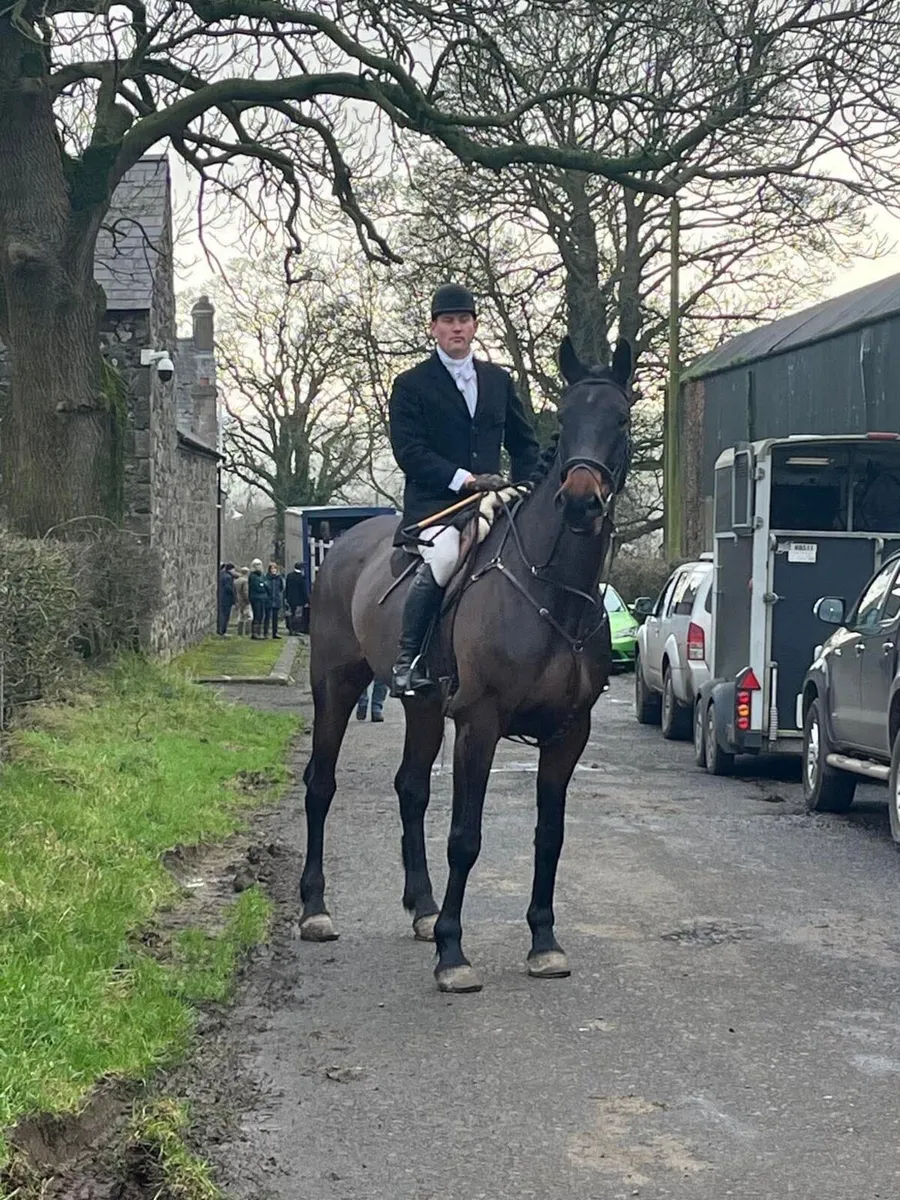 10yr old experienced hunter - Image 3