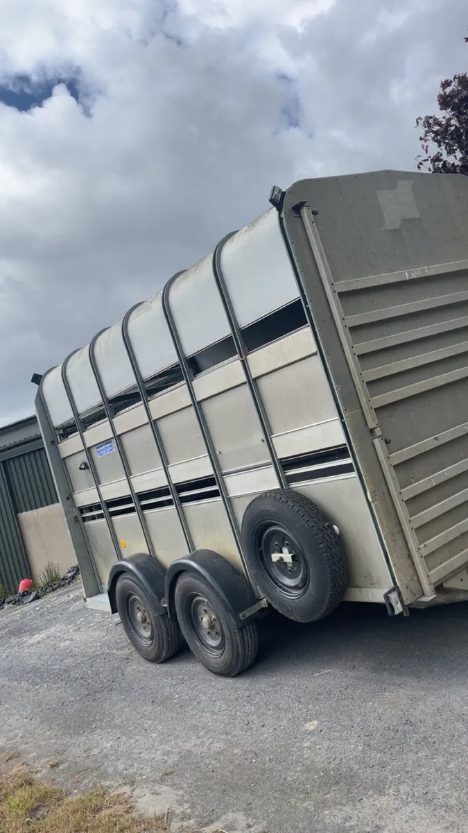 High roof sheep cattle horse box - Image 1