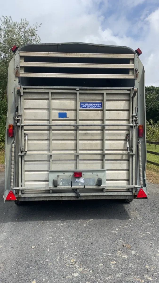 High roof sheep cattle horse box - Image 2