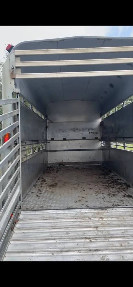 High roof sheep cattle horse box - Image 3