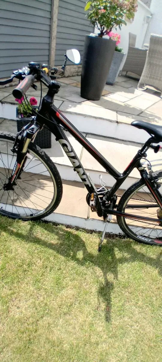 Bicycle - Image 4