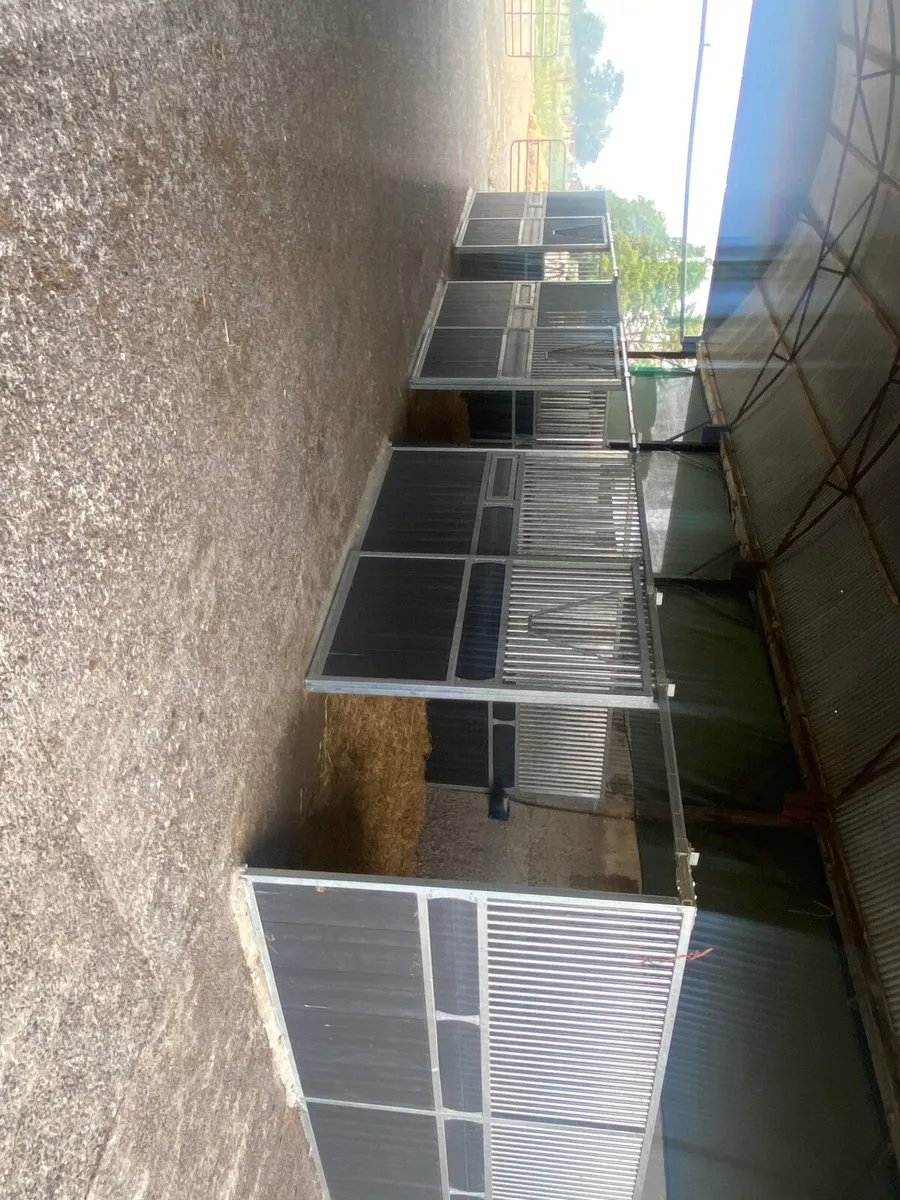 Youngstock barn & Winter stable livery - Image 1