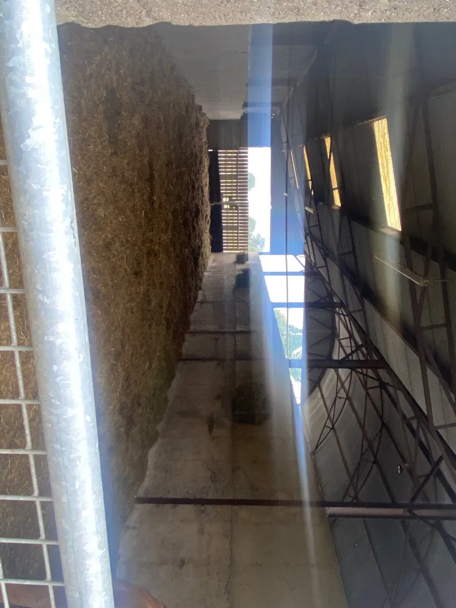 Youngstock barn & Winter stable livery - Image 2