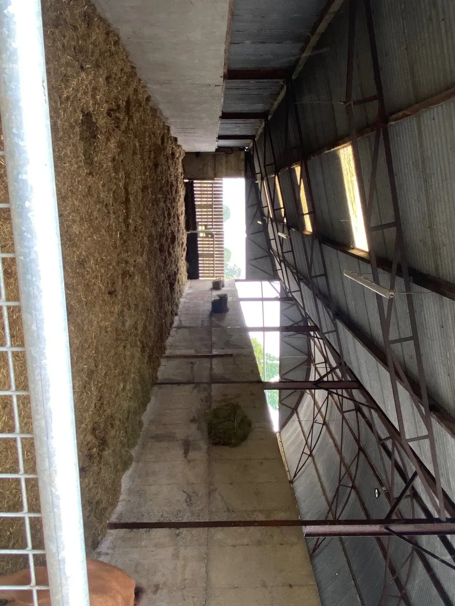 Youngstock barn & Winter stable livery - Image 3