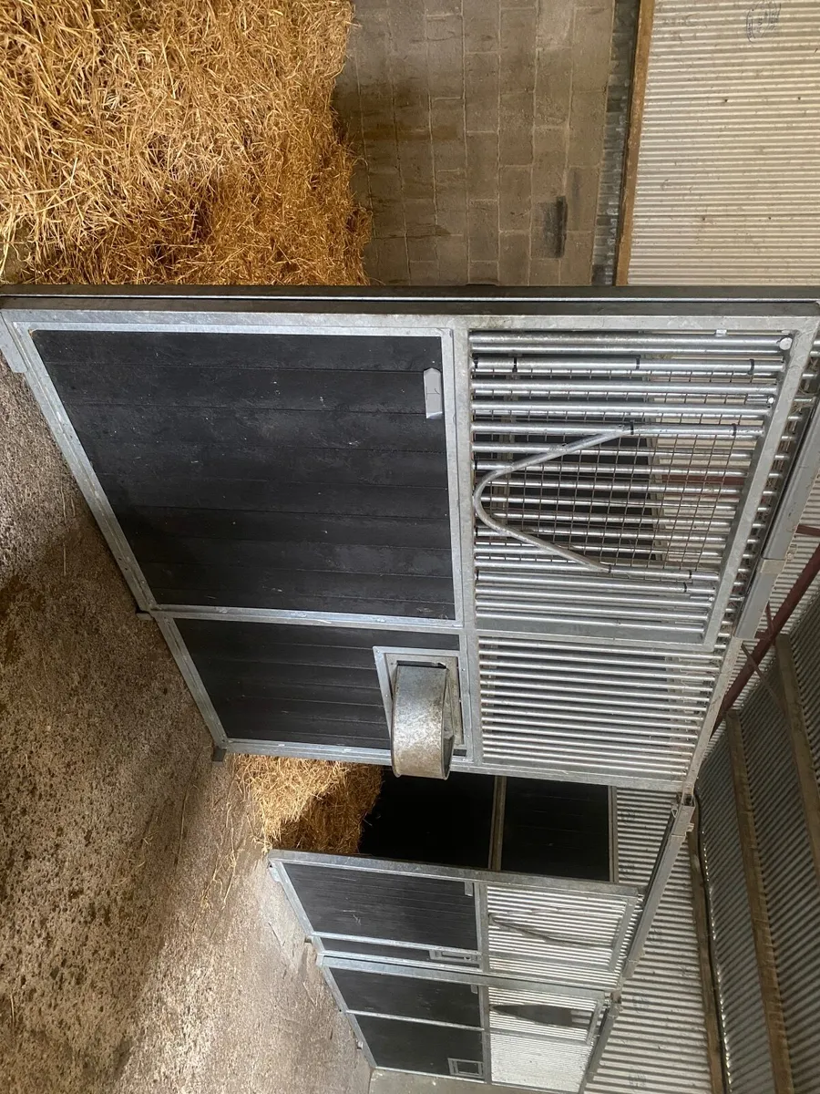 Youngstock barn & Winter stable livery - Image 4
