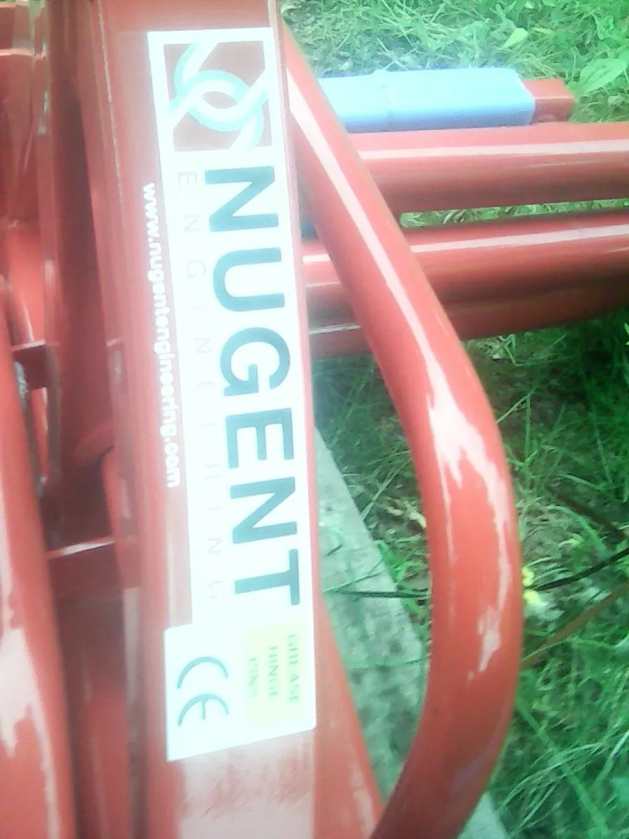 Bale Lifter - Image 2