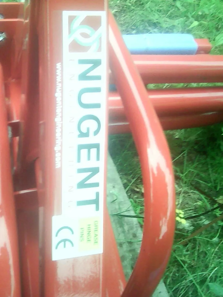 Bale Lifter - Image 4