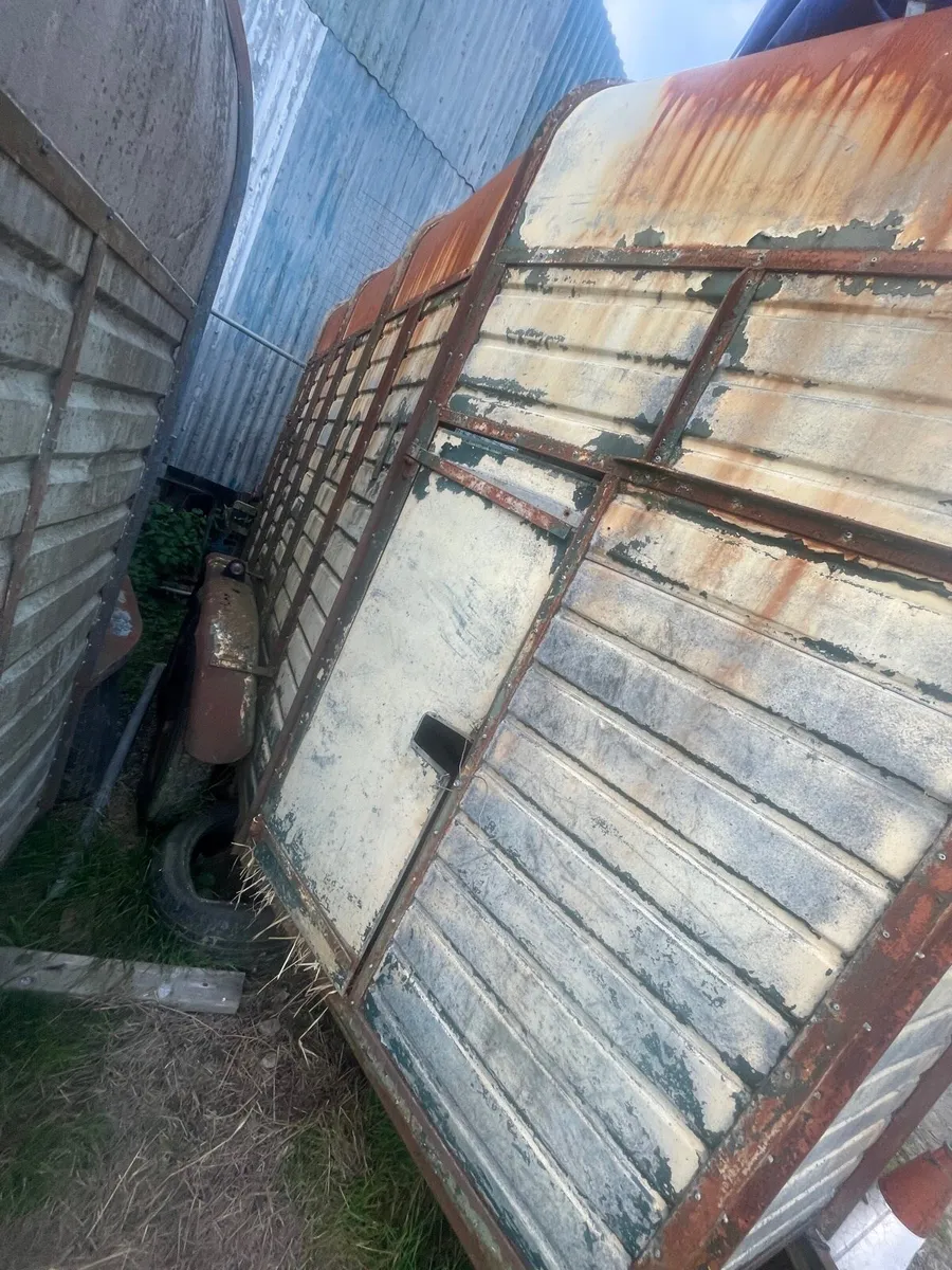 Rice Horse Box - Image 1