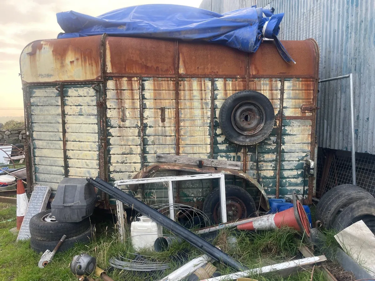 Rice Horse Box - Image 2