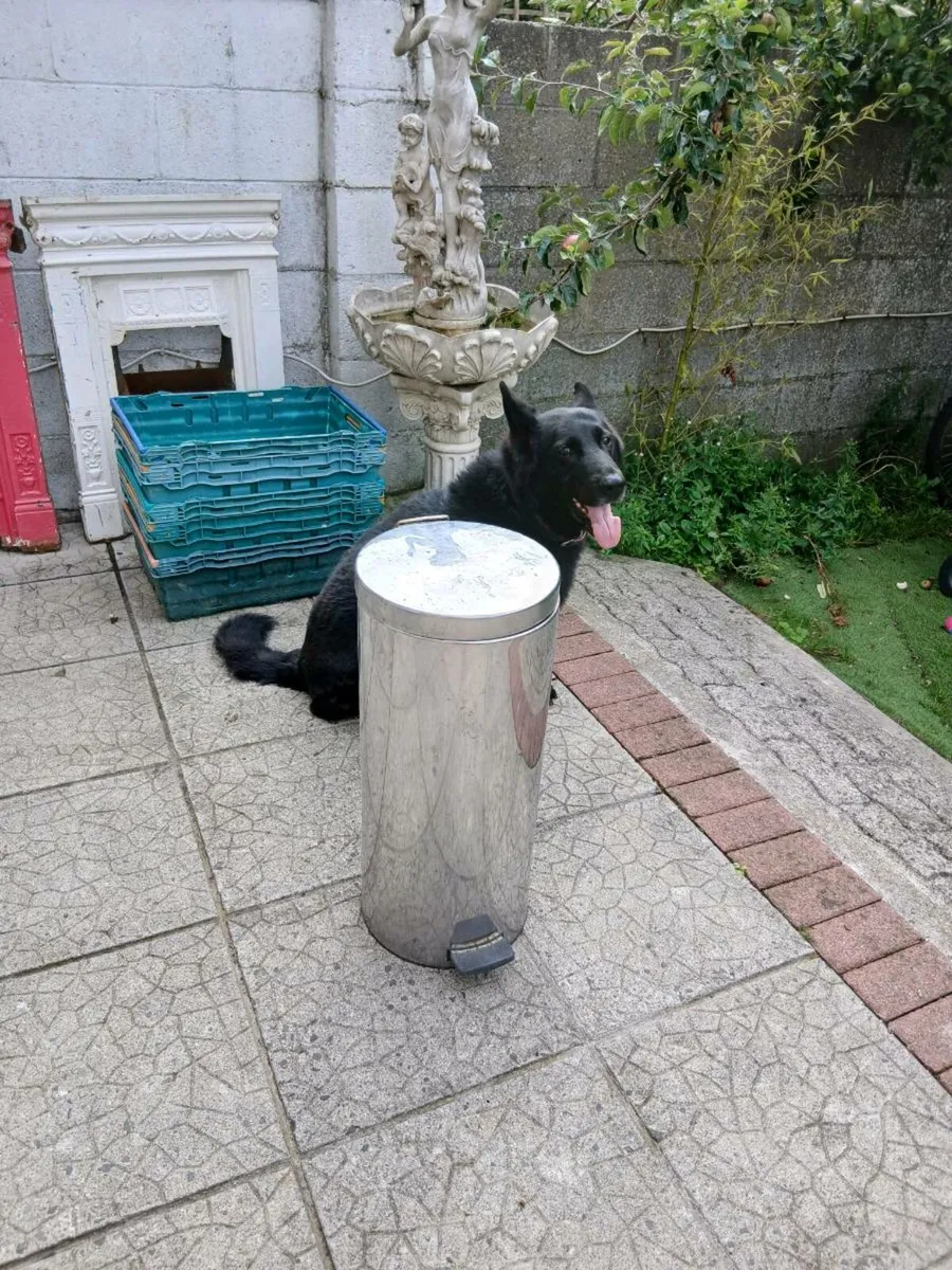Kitchen waste bin - Image 1