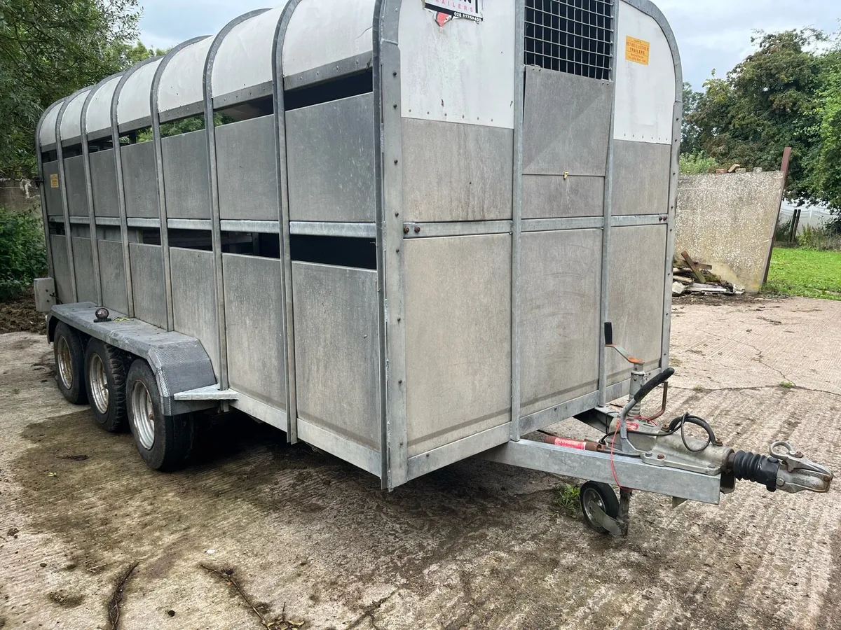 2004 Nugent livestock trailer 6 wheeler - Image 1