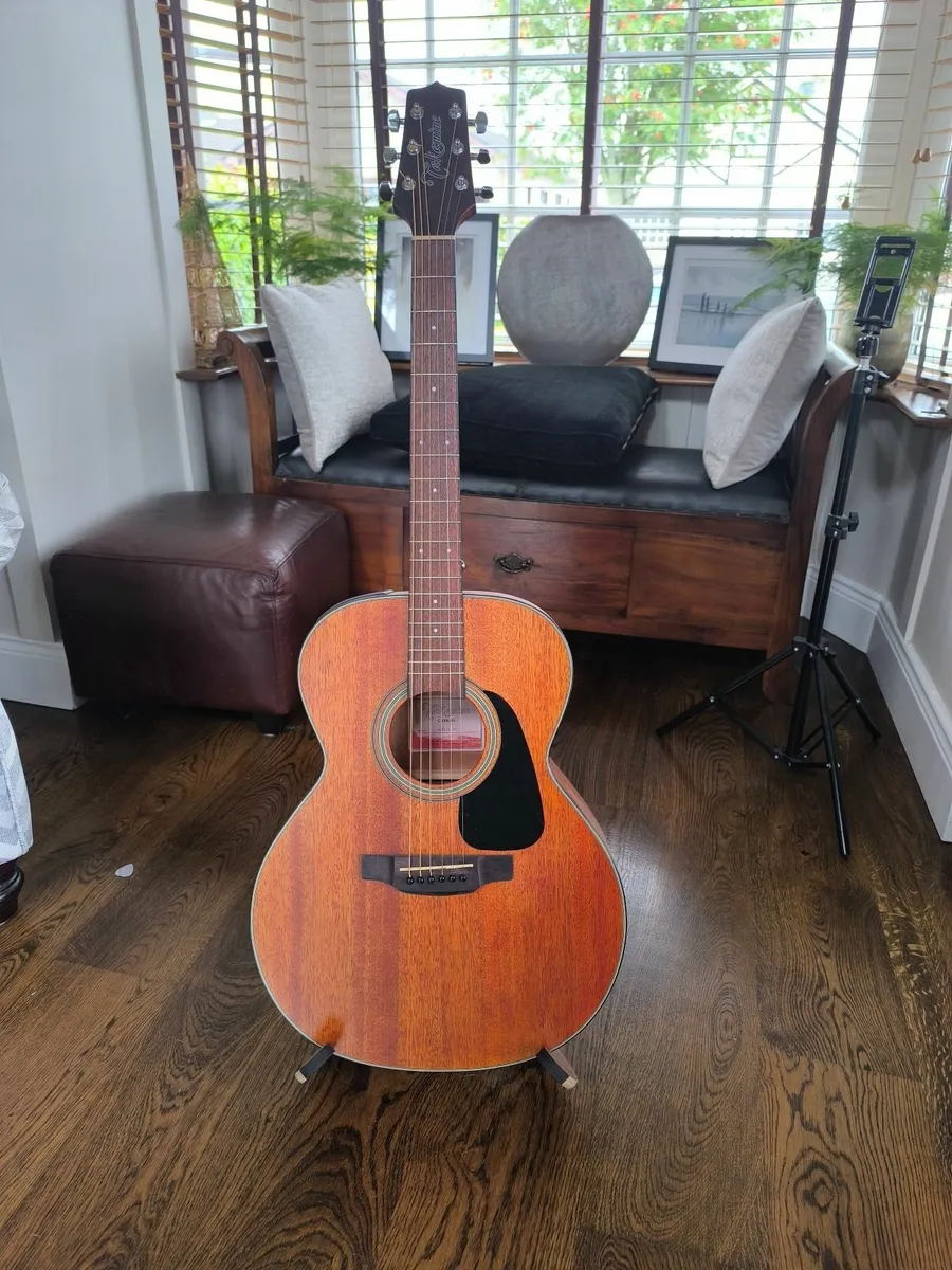 Takamine Guitar G Series - Image 1
