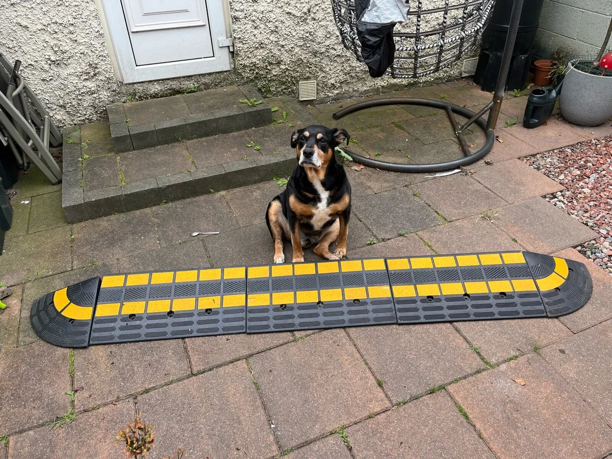 Heavy duty kerb ramps