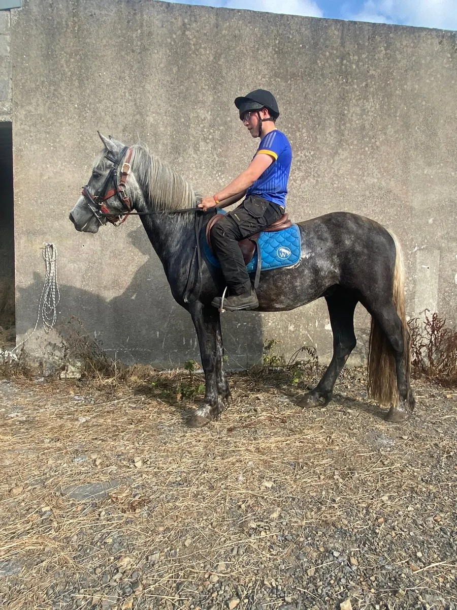 Connemara cross - Image 1