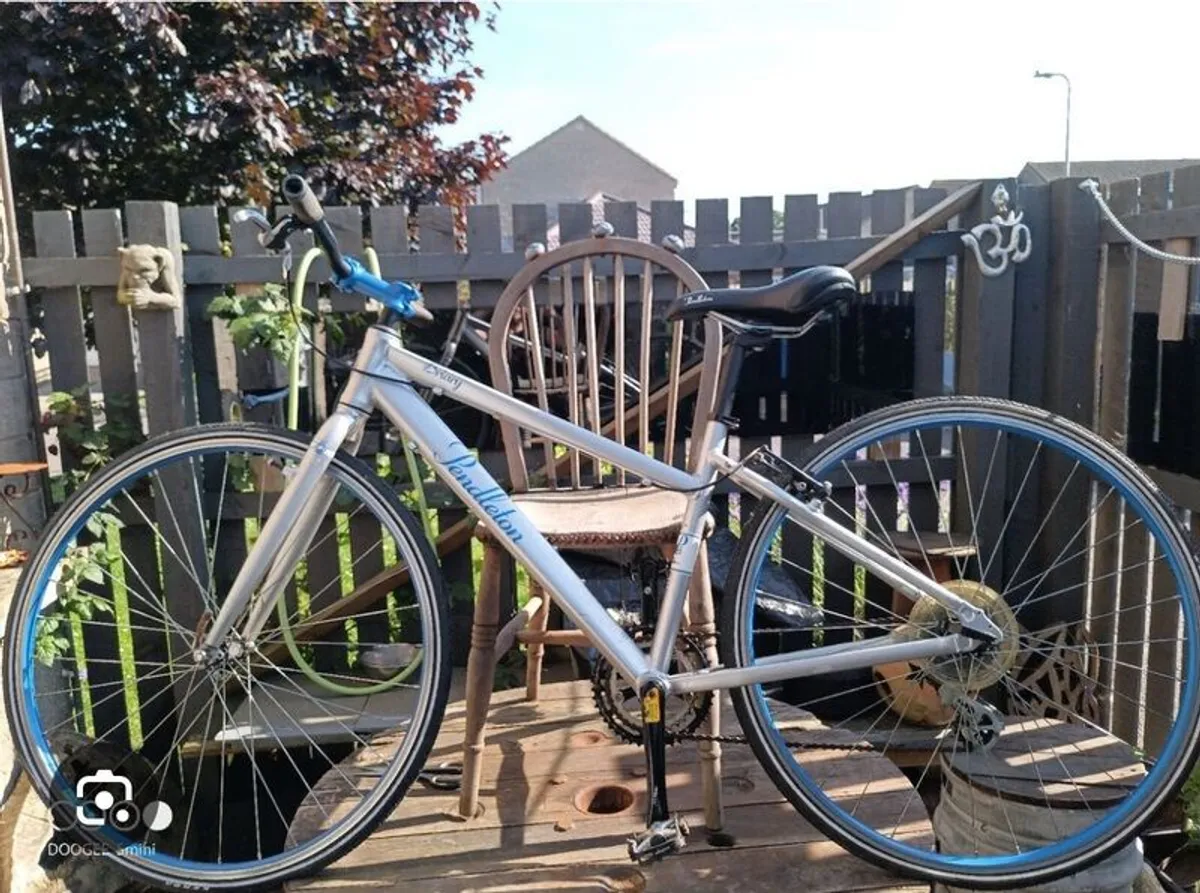 Ladies Bike
