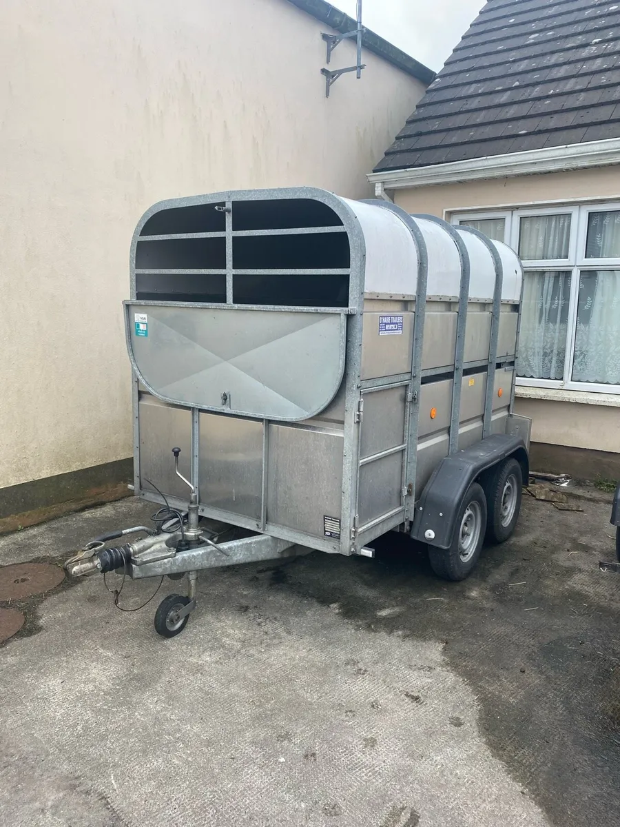 8x5 Murphy Cattle trailer - Image 1