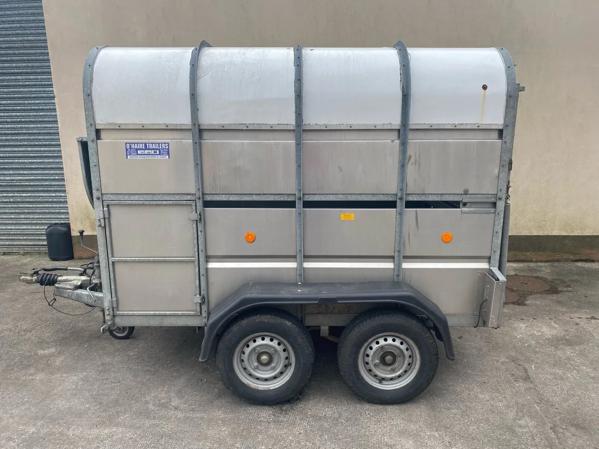 8x5 Murphy Cattle trailer - Image 2