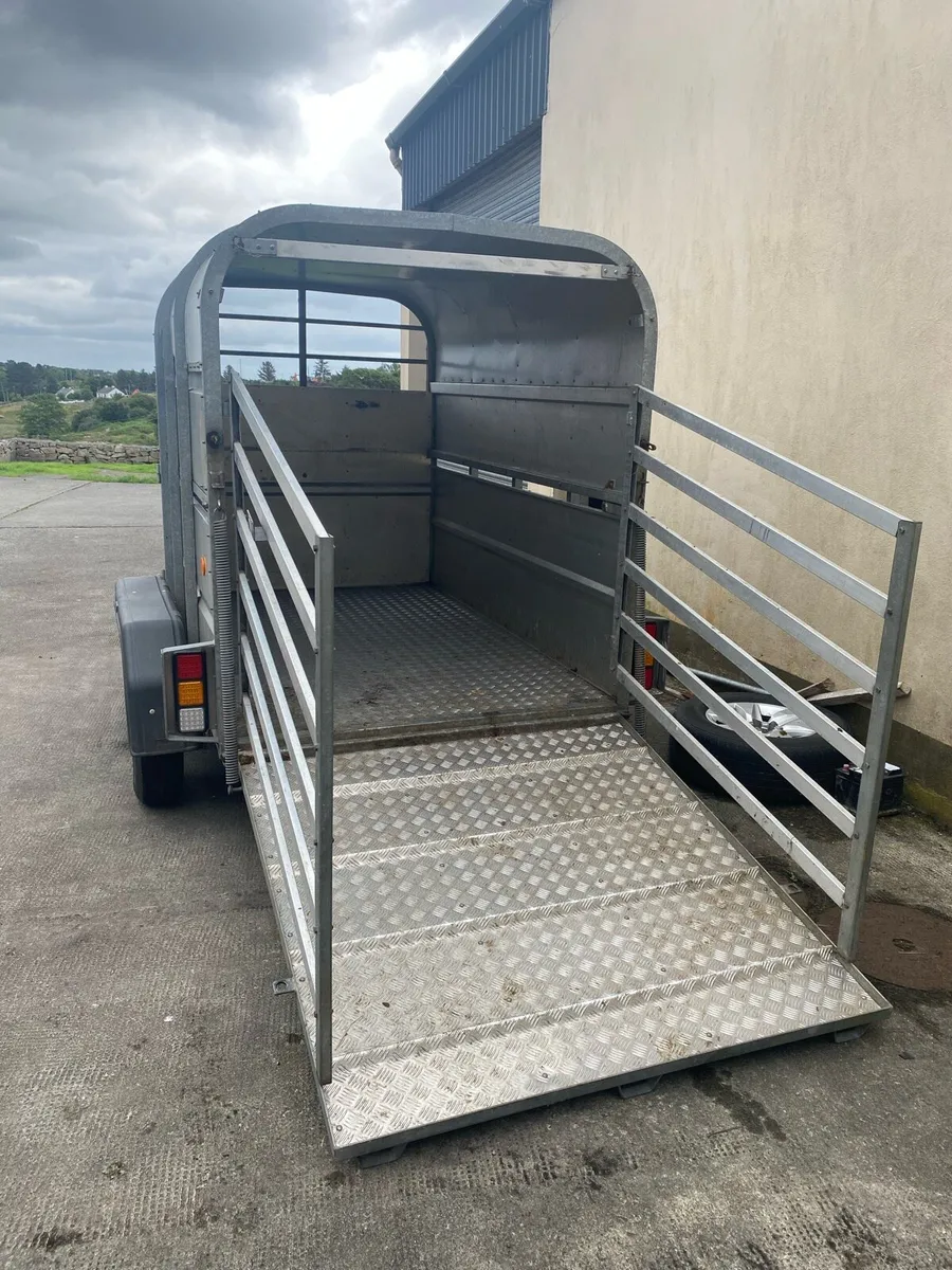 8x5 Murphy Cattle trailer - Image 3