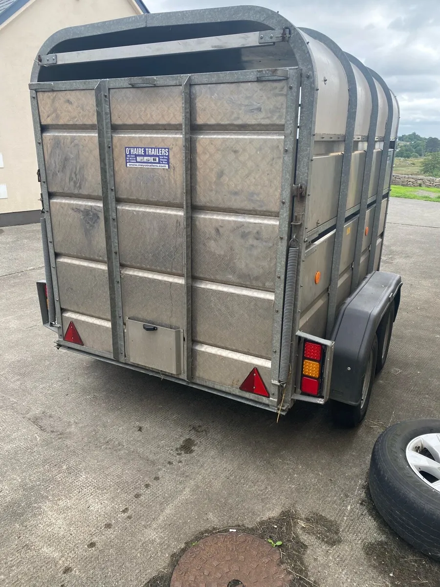 8x5 Murphy Cattle trailer - Image 4