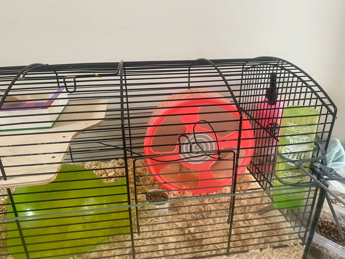 Hamster cage - Image 1