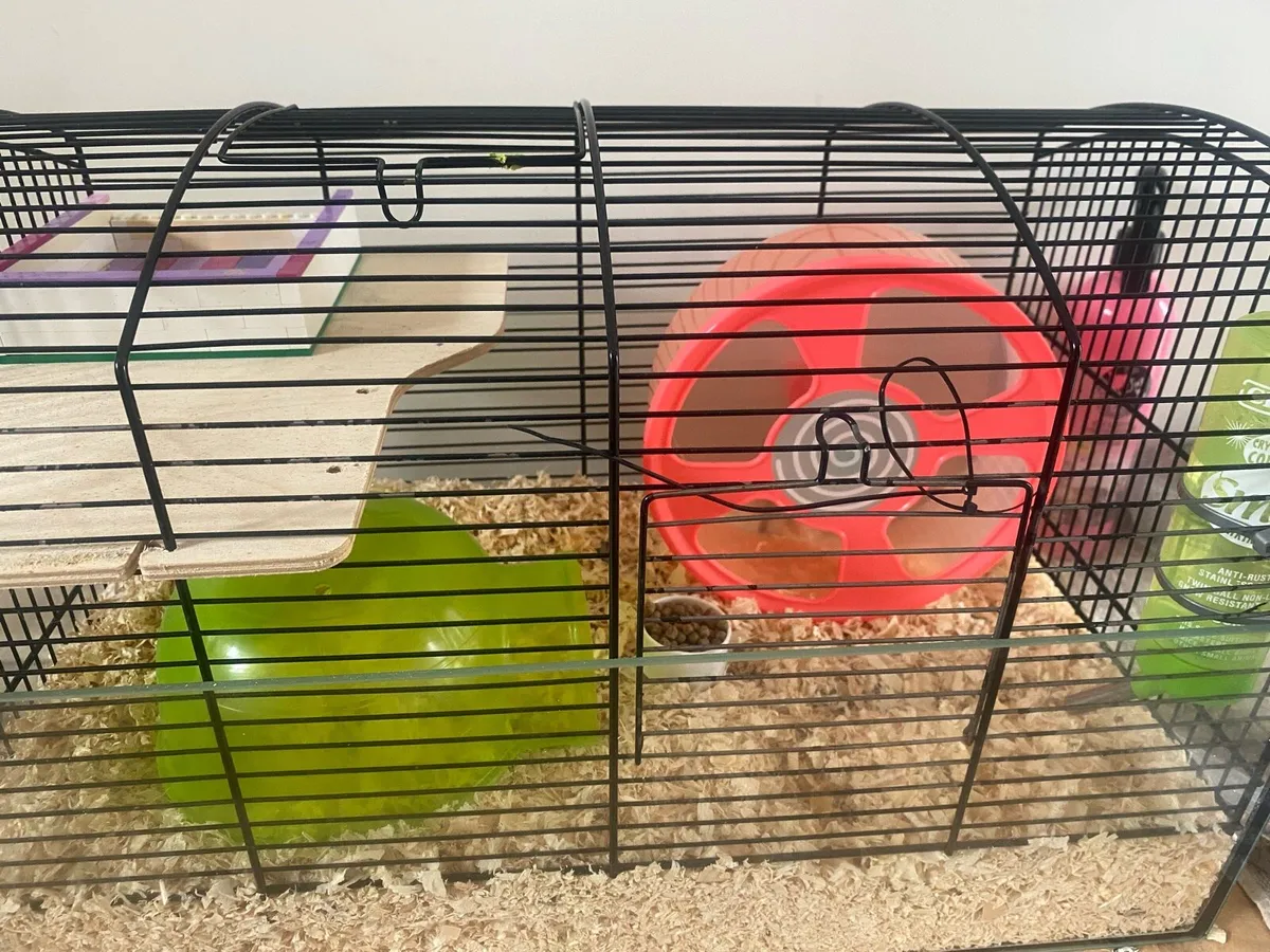 Hamster cage - Image 2