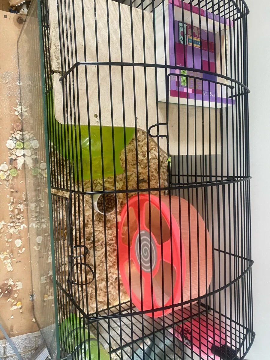 Hamster cage - Image 3