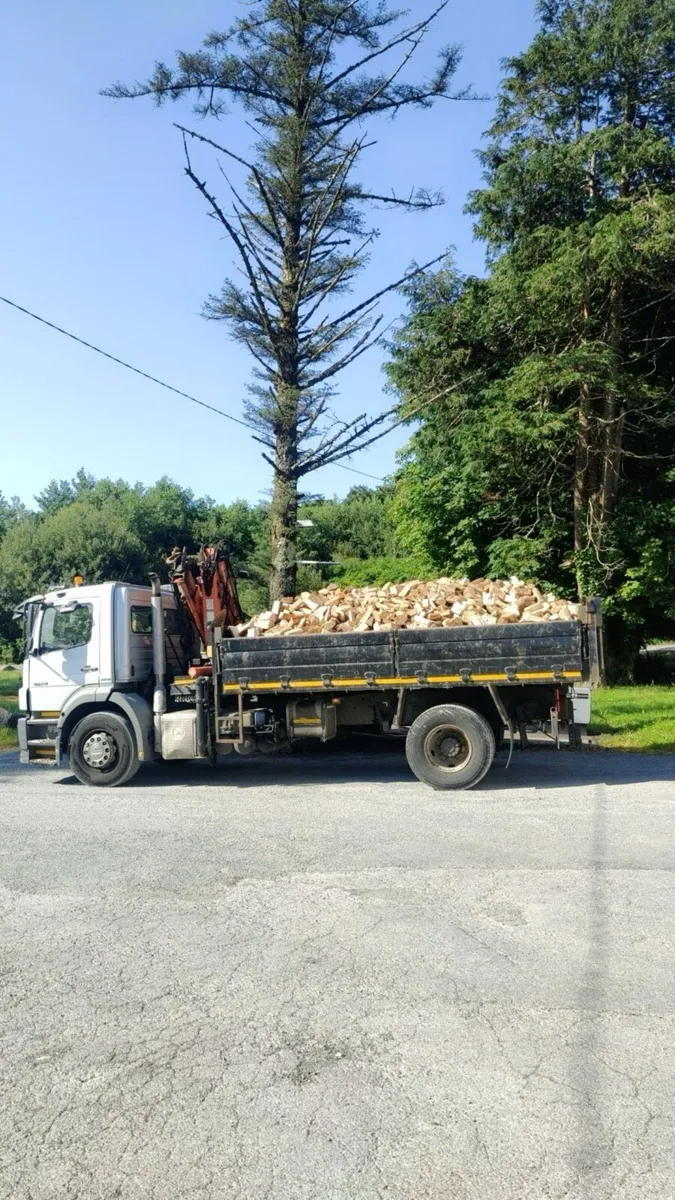 Firewood - Image 4