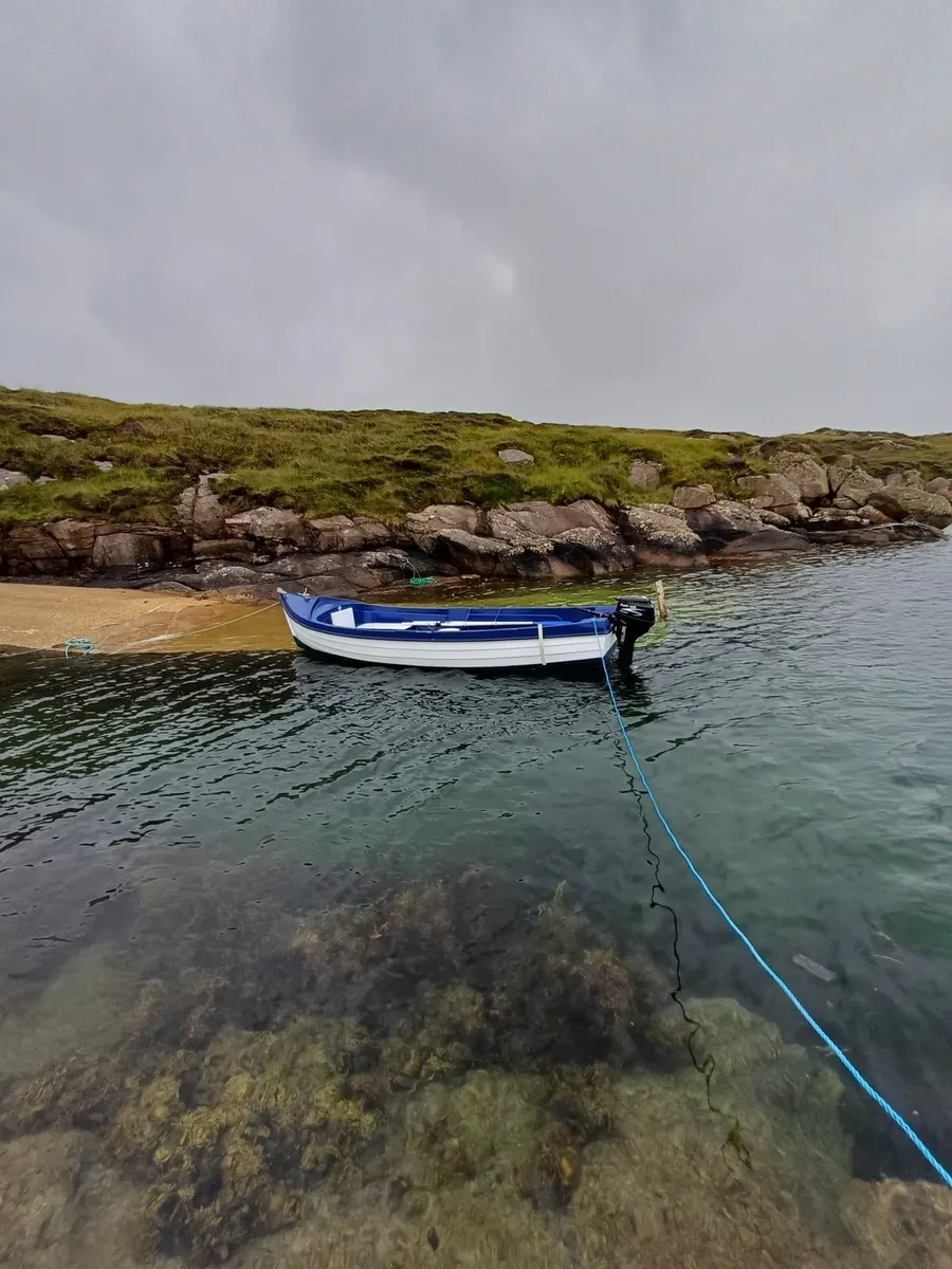 17ft fibre glass Boat with Parsuns 8hp & Trailer - Image 3