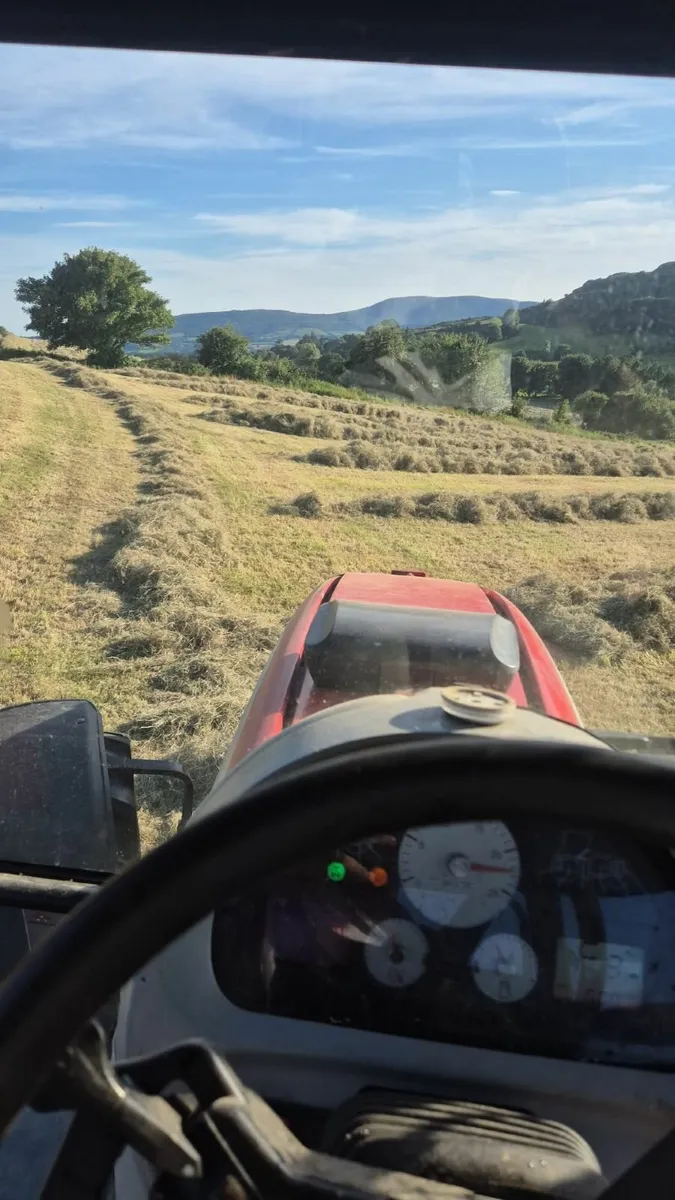Hay