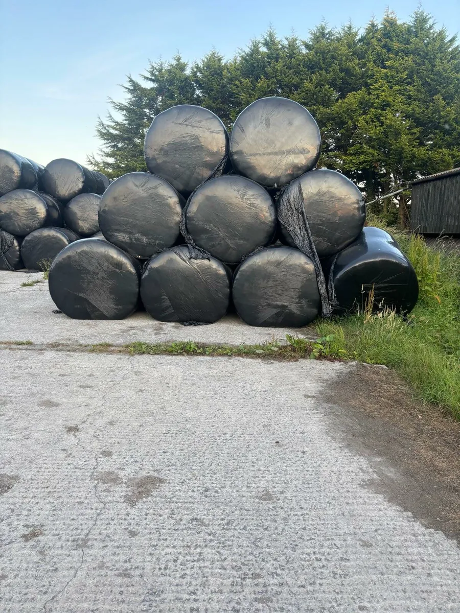 Haylage