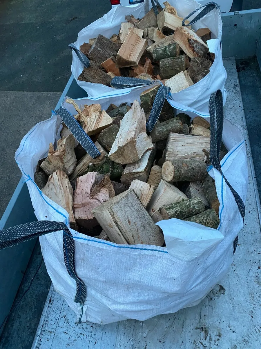 Firewood - Image 2