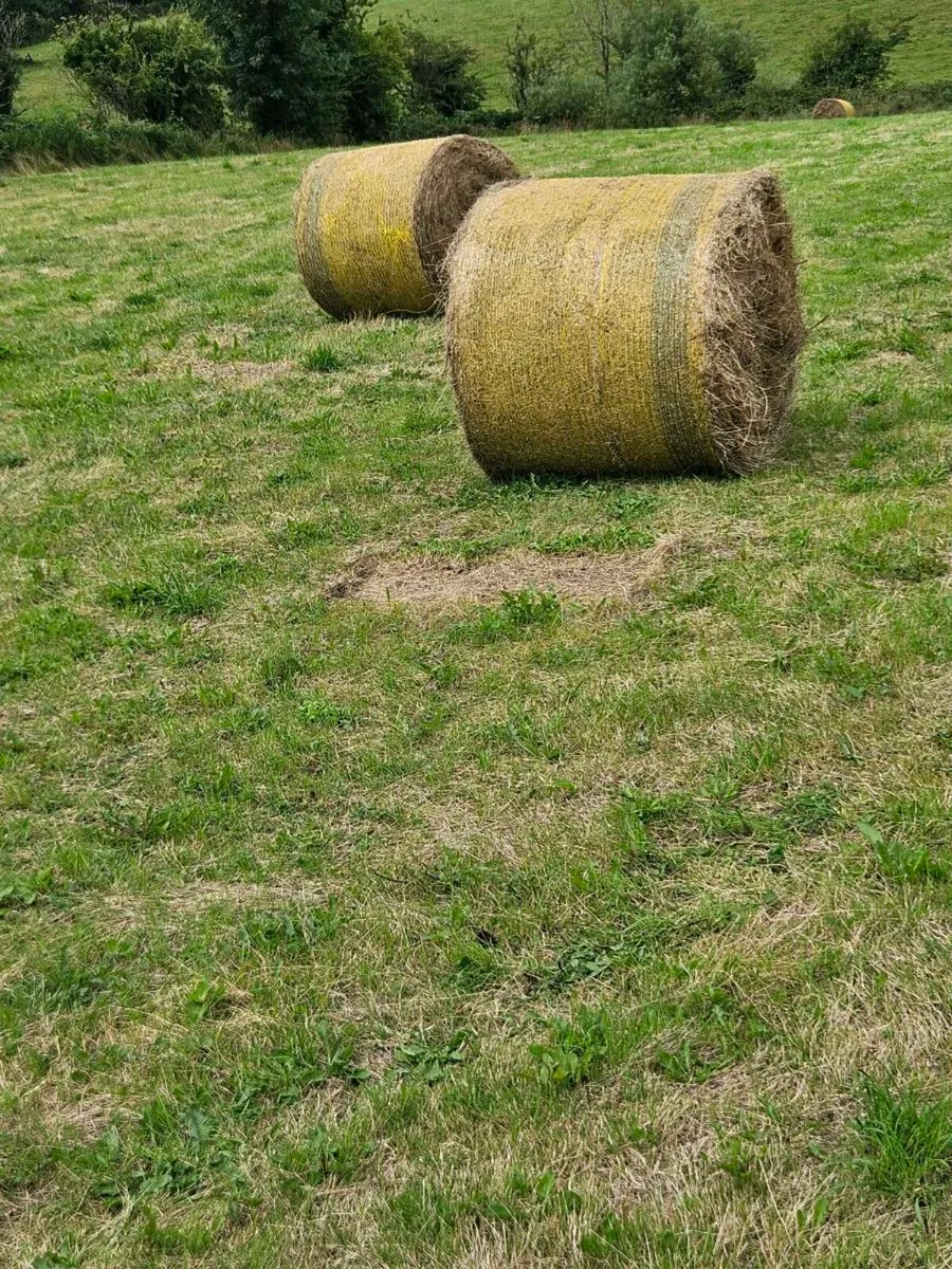 Hay Straw Bales - Image 1