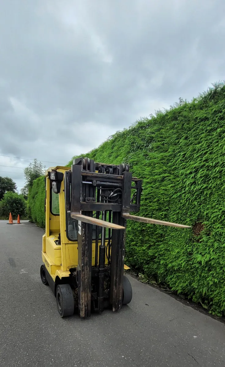 Hyster 2 ton forklift - Image 4