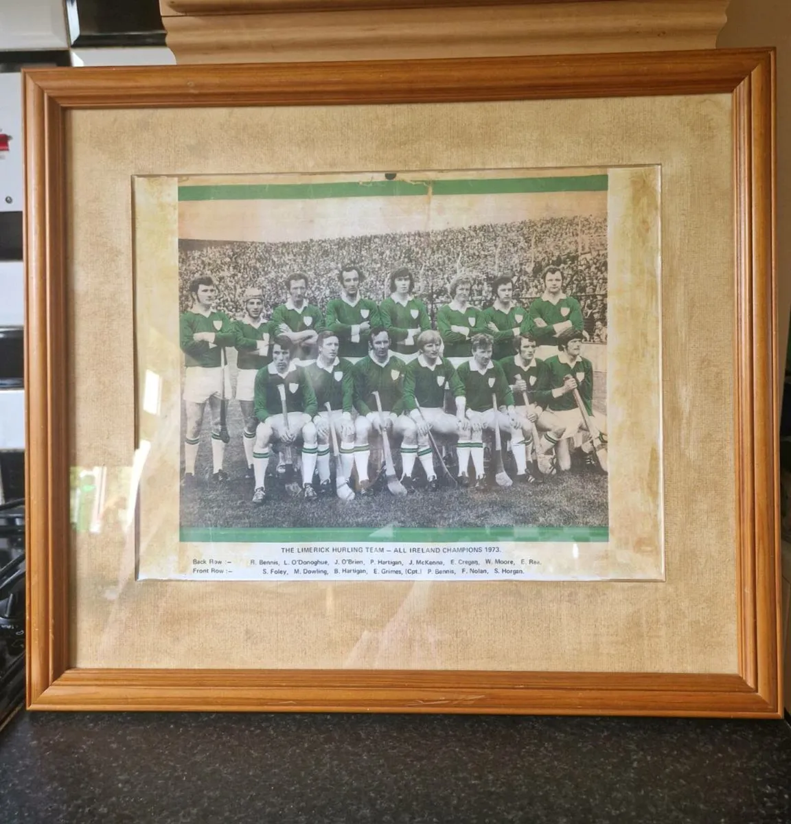 Limerick Hurling Team 1973