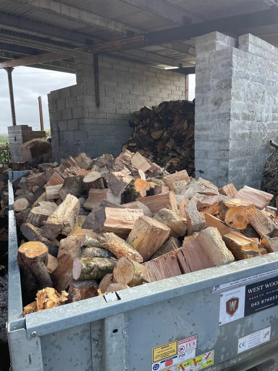 Firewood - Image 3